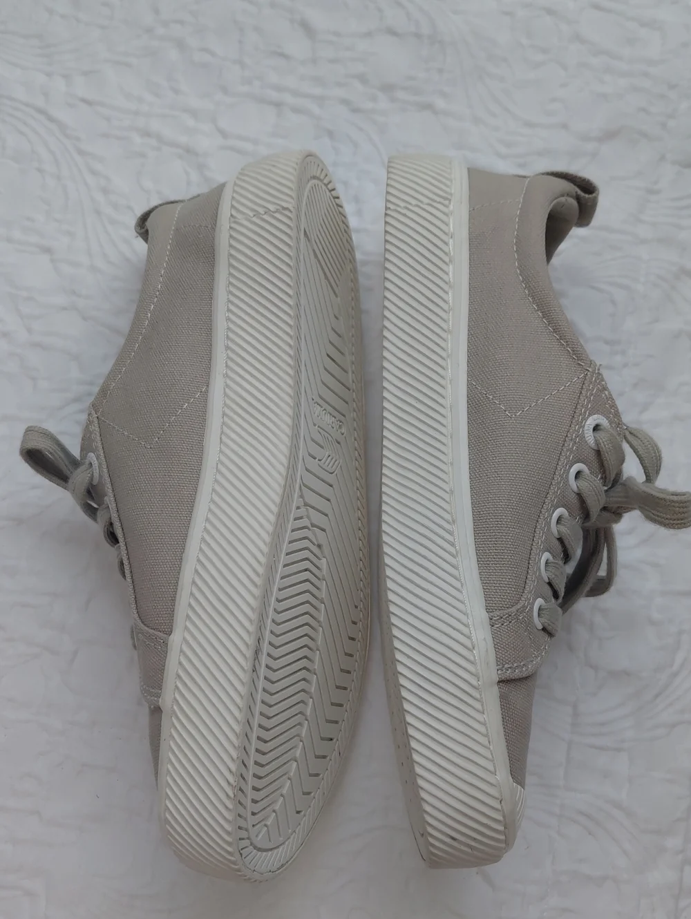 Cariuma pantone canvas
